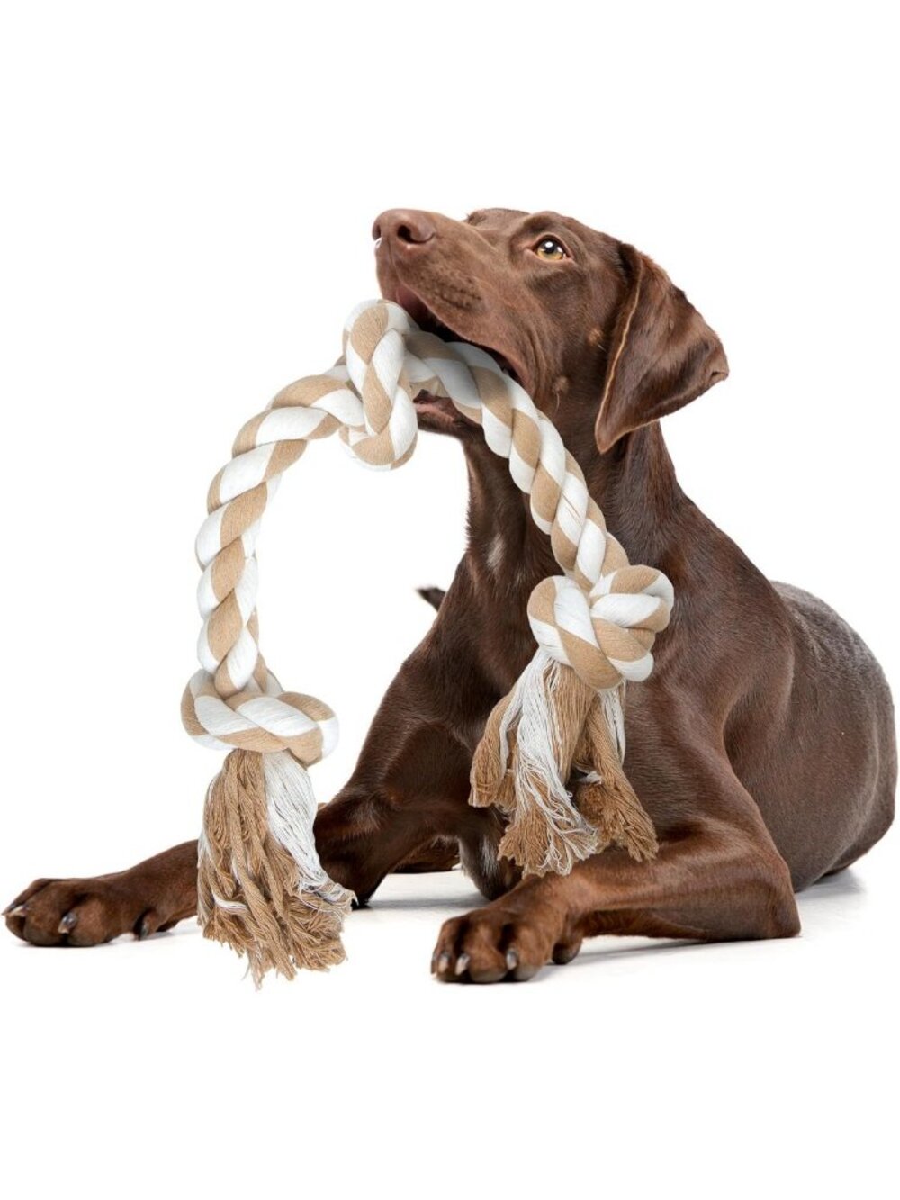 Durable Dog Rope Toy for Large Aggressive Chewers, Natural Cotton 3 Knots